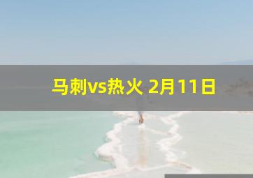 马刺vs热火 2月11日